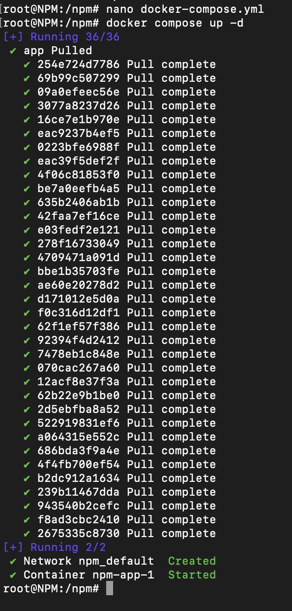 Npm 01