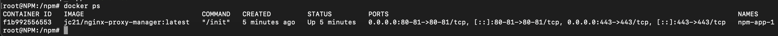 Npm 02